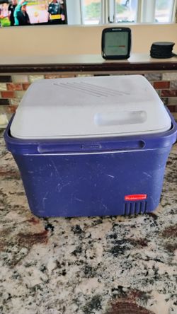 Cooler lunch box