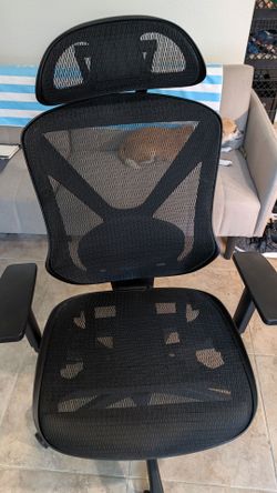 Office Chair