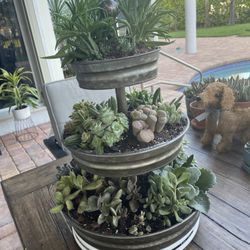 Succulents Tower Plant