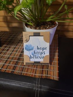 Stoneware Coasters 4 Pack