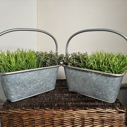 Decoration - Plants In A Tray (two)