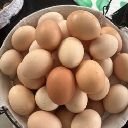 Eggs per dozen $5             35.Ave/Mc Dowell 