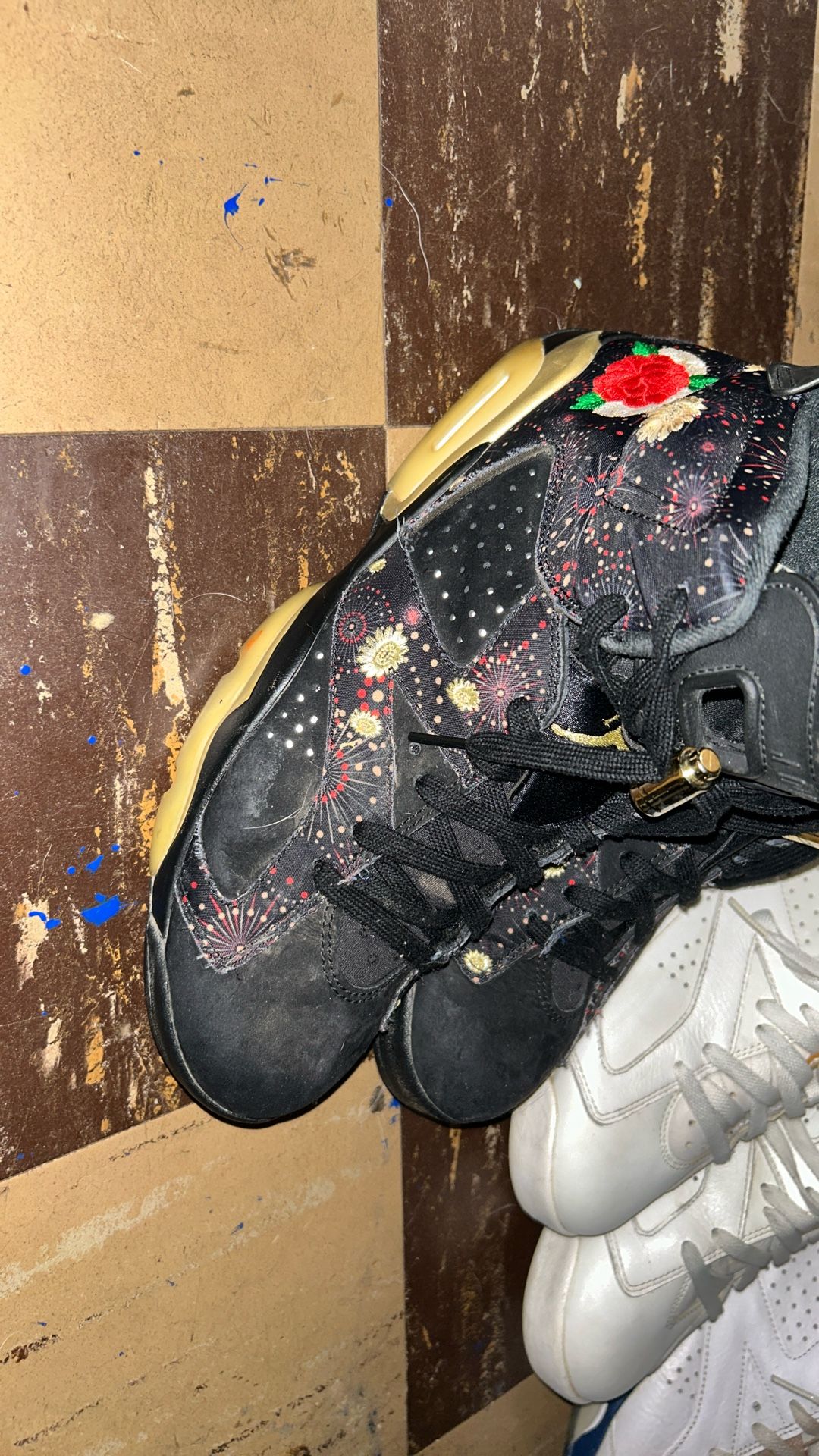 Jordan 6s