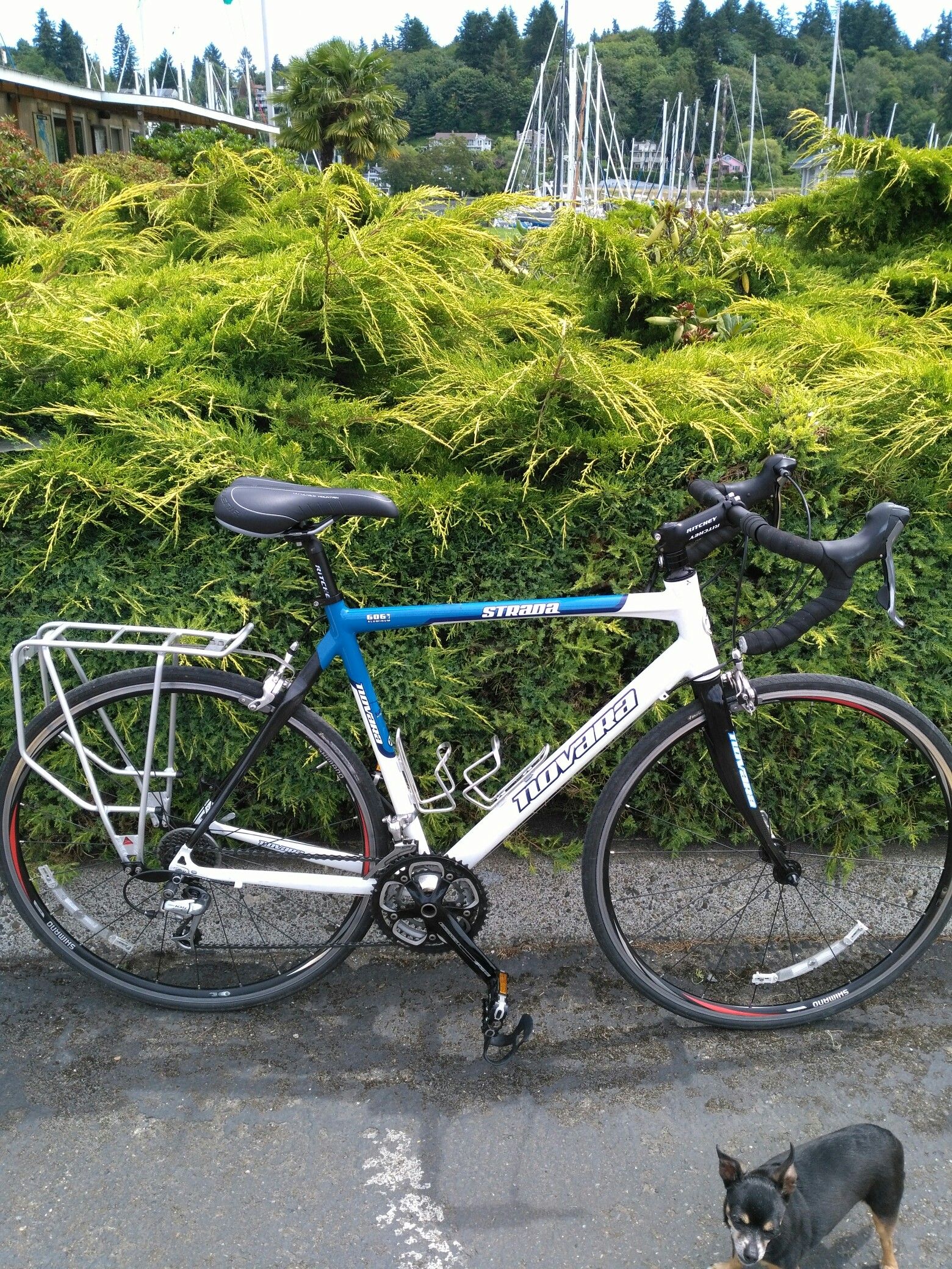 2008 REI Novara Strada
