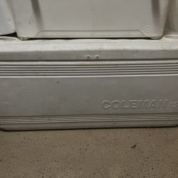Coleman Cooler 