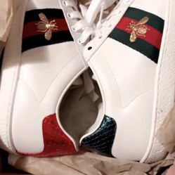 Gucci Shoes 