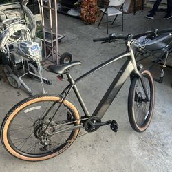 Trek E-bike
