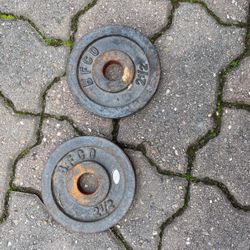 2 2 1/2 Lb Gear For Exercise 