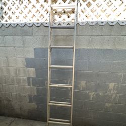 Werner Ladder 16ft 