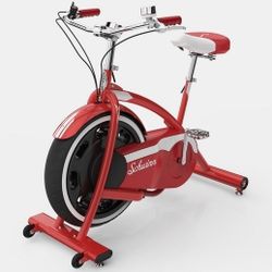 RARE Schwinn Classic Cruiser Stationery Exercise Bike + Accessory Kit Retro Vintage  