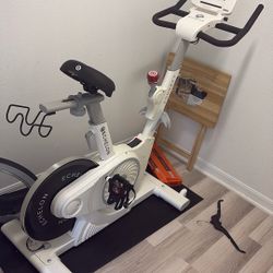 Workout bike- Moving Sale 