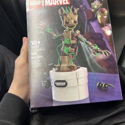 Groot Lego Set