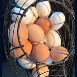 Farm Fresh Eggs Farm Fresh Eggs organic $7 a dozen  Huevos frescos de Rancho  $7 la dozena  Huevos no estan glavados, unwashed eggs brown and white al