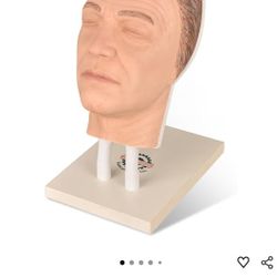 Injection Face Training Model