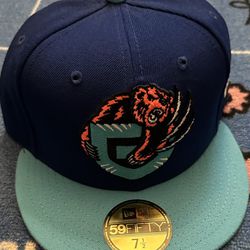 Grizzlies Fitted 