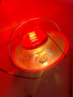 Brooder 10” Heat Lamp and chicken feeder