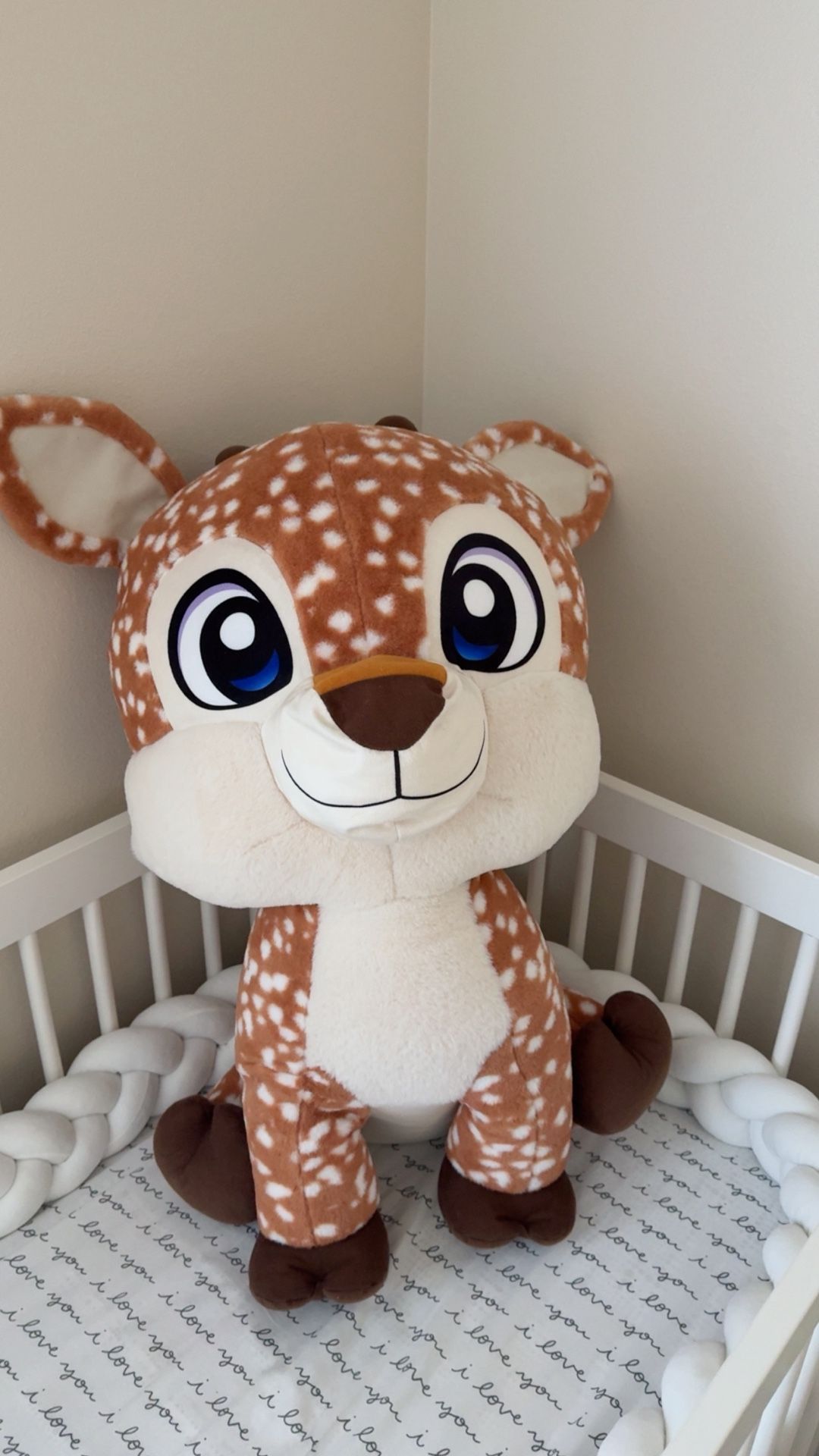 Big Stuffed Animal