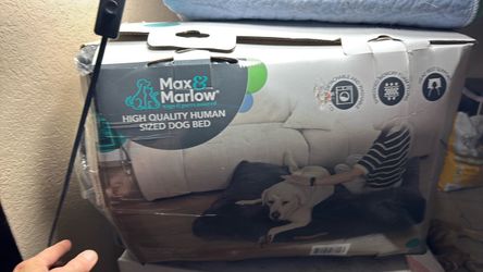 Dog bed