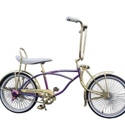20" Lowrider Bicycle Complete Bike Neo Chrome