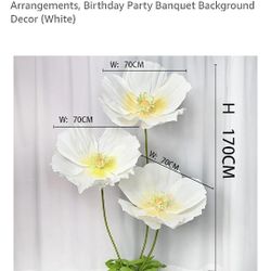 Flower Background 