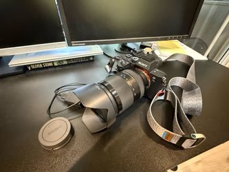 Sony Alpha 7iii with Sony FE 24-240 zoom lens