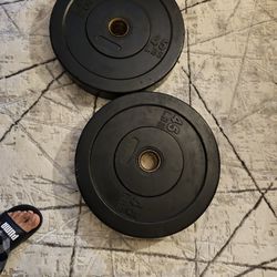 Bumper Plates And Barbell 