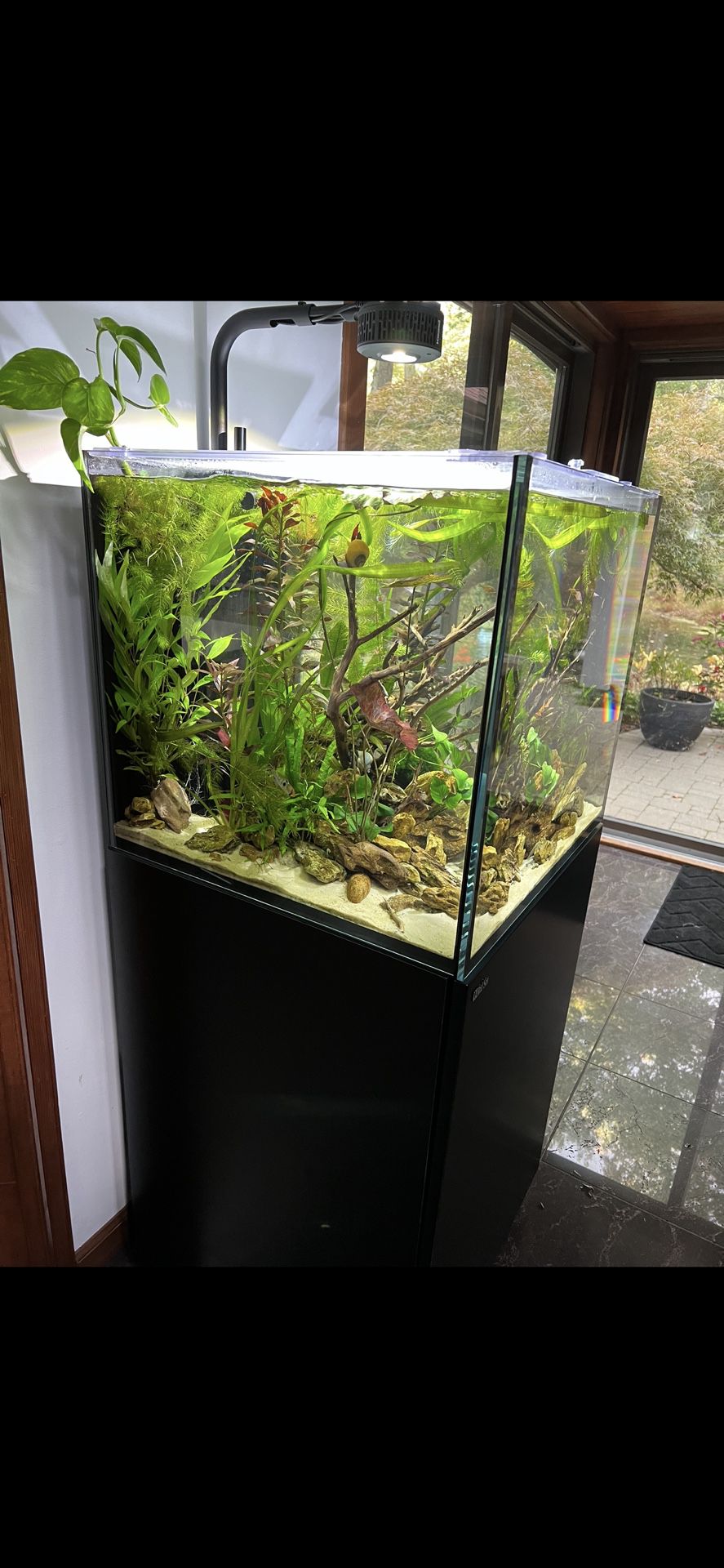 42 Gallon Reefer XL 200 G2+ System. Fish Tank & Everything Included.