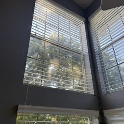 Window Blinds x5