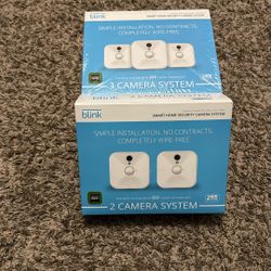 Blink Camera Systems