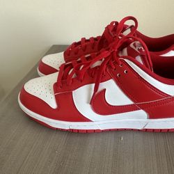 Nike Dunk Low Size 10.5