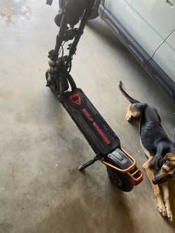 Wolf warrior