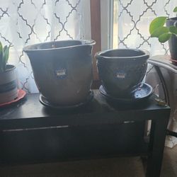 Frost Resistant Flower Pots