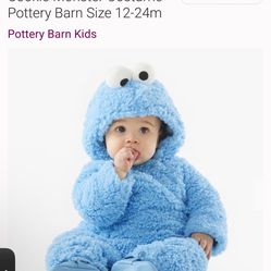 Pottery barn, Cookie Monster Halloween costume 12-24 Months River North Pick Up
