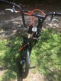 Black and orange mongoose hot sale