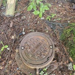 Medal Sewer Cap Cover