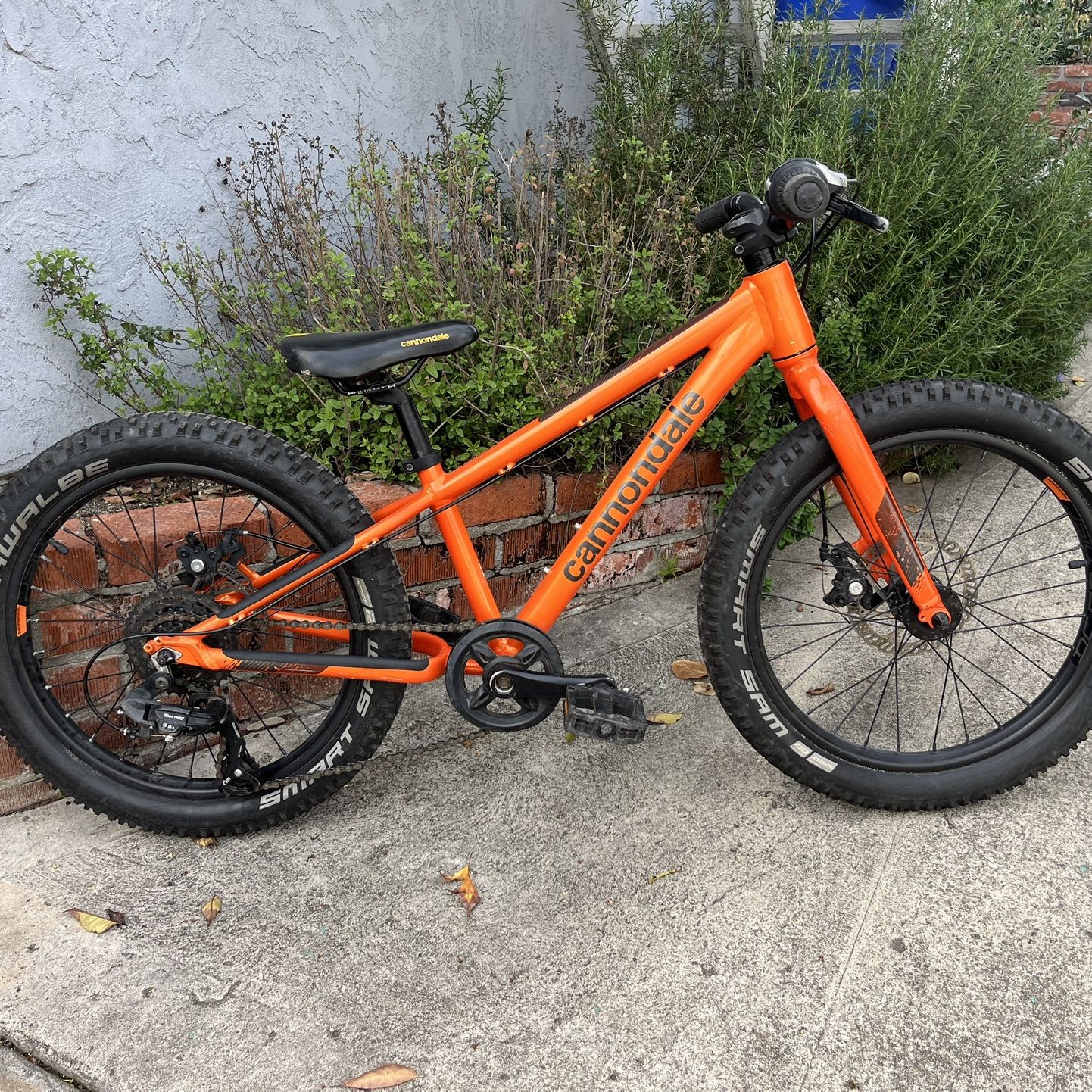 Cannondale Cujo 20 Kids Mountain Bike for Sale in La Mesa, CA