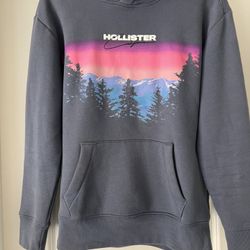 Hollister  Fleece Pullover Hoodie