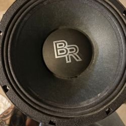 Bassrockers 10"
