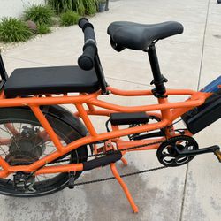 Electric Bike - Rad wagon 4