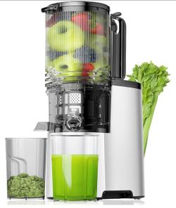 Cold Press Slow Juicer