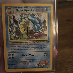 Misty’s gyarados