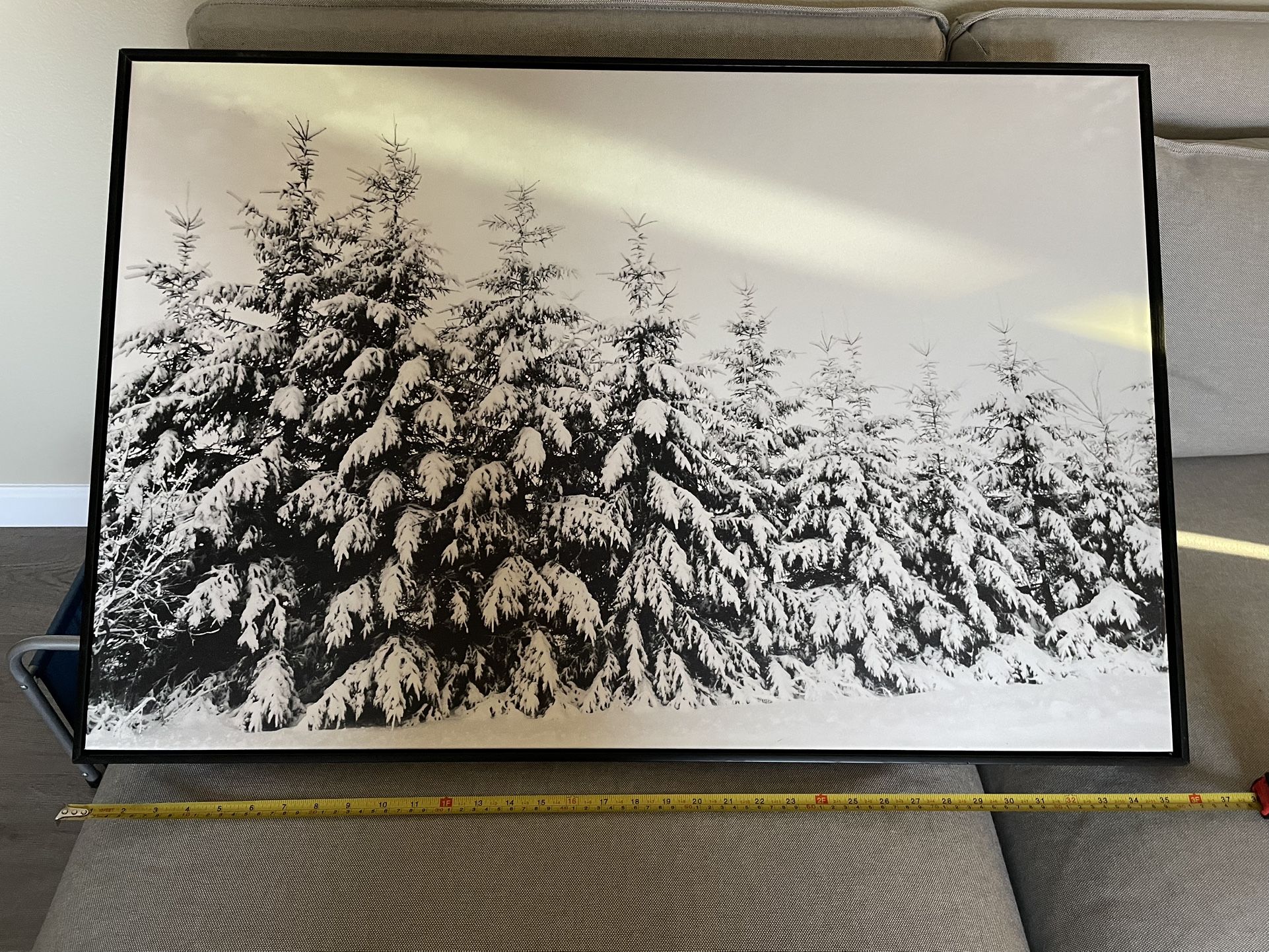 Picture Of Winter Forest