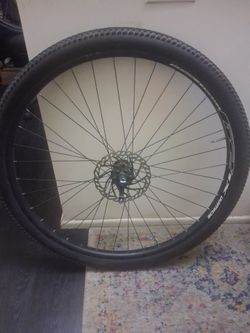 29 in .tire tube rim