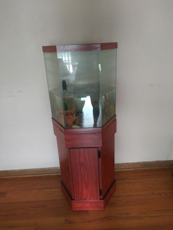Octagon Fish tank for Sale in Kansas City, MO OfferUp