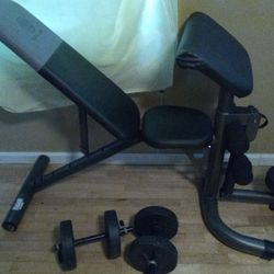 Golds Gym Adjustable Incline/Decline Weight Bench w/ Weights