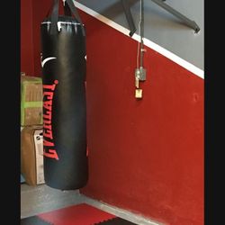 Punching Bag