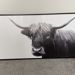 Highland Cow Wall Art