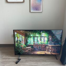 43in Tv 