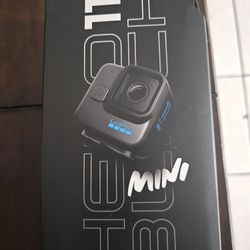 Go Pro Mini Cam