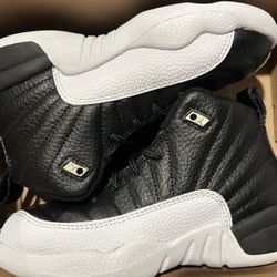 Brand new Retro Jordan 12 